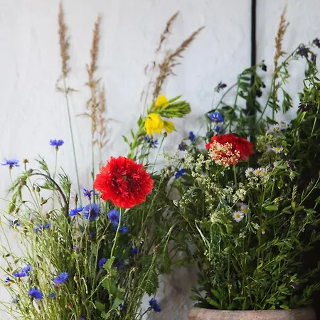 Sielskie Siedlisko W Czerwonym Dworze Feriehus *
